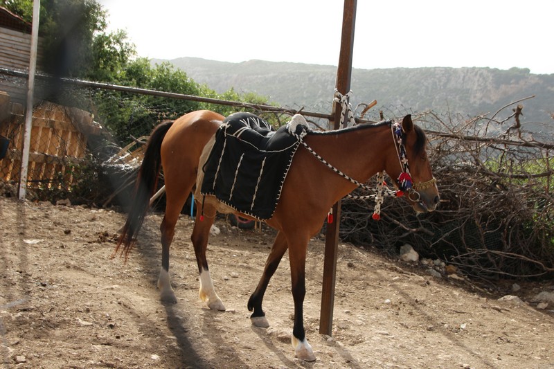 Arnaoon Village on Sunday