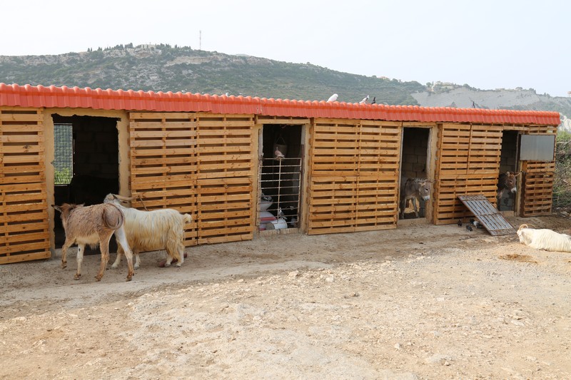 Arnaoon Village on Sunday