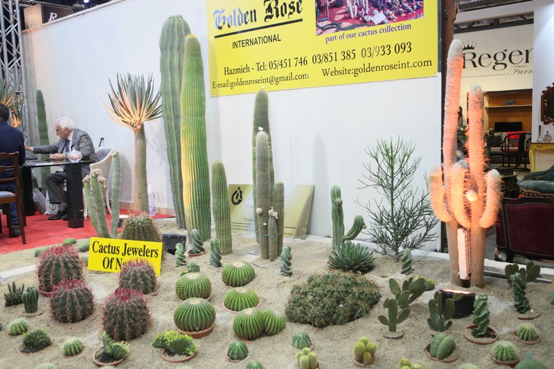 Art of Living Exhibition
