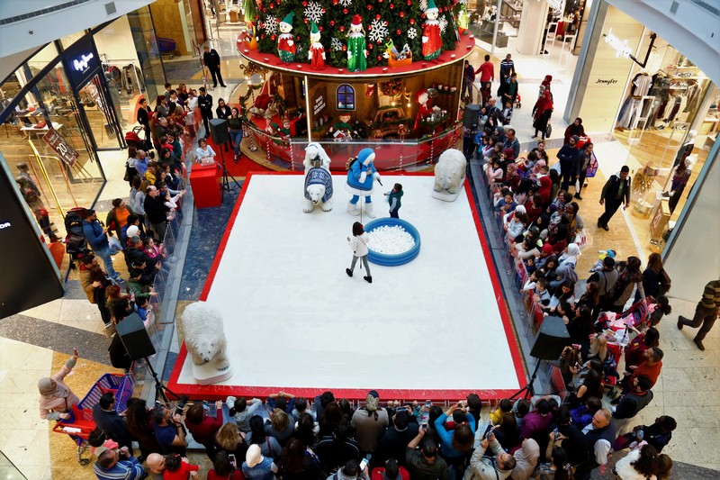 The Wonders of Christmas Shows