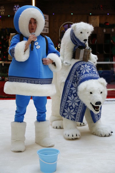 The Wonders of Christmas Shows