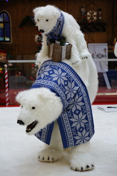The Wonders of Christmas Shows