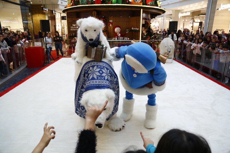 The Wonders of Christmas Shows