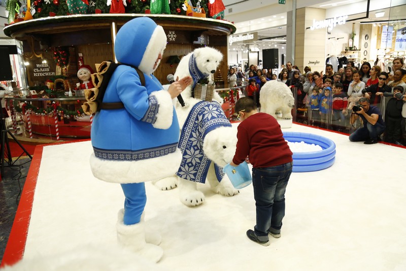 The Wonders of Christmas Shows