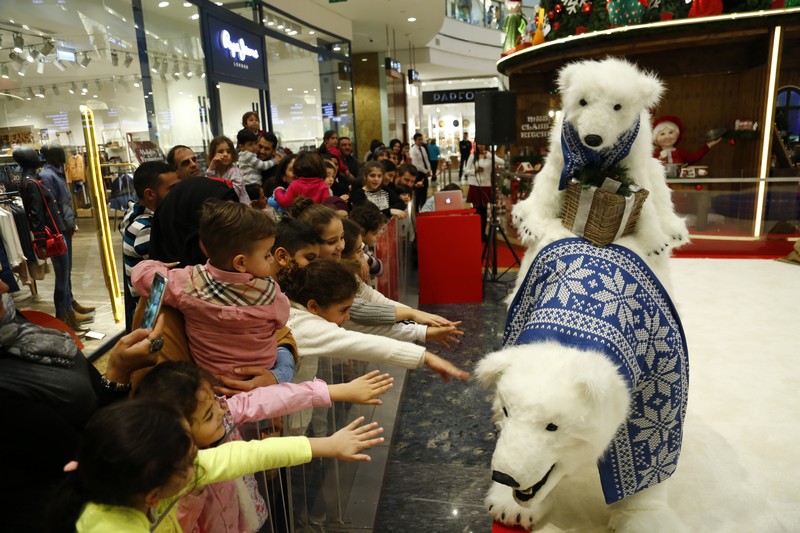 The Wonders of Christmas Shows
