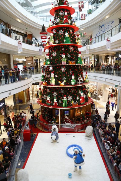 The Wonders of Christmas Shows