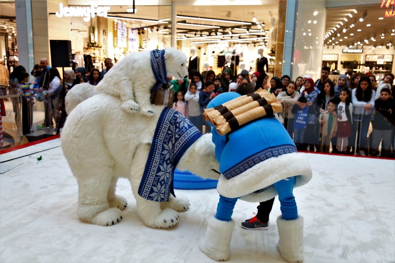The Wonders of Christmas Shows