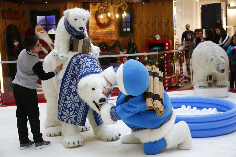 The Wonders of Christmas Shows