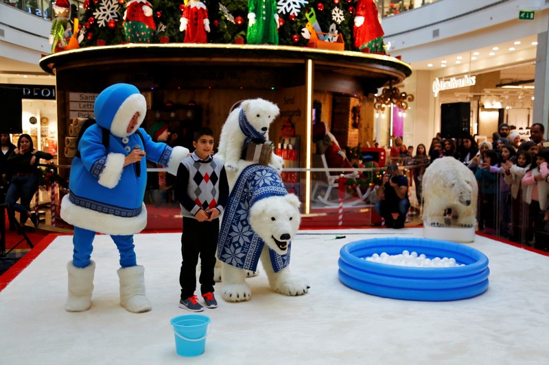 The Wonders of Christmas Shows