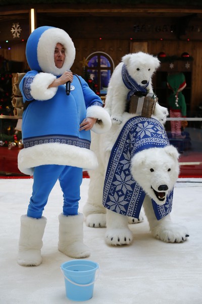 The Wonders of Christmas Shows
