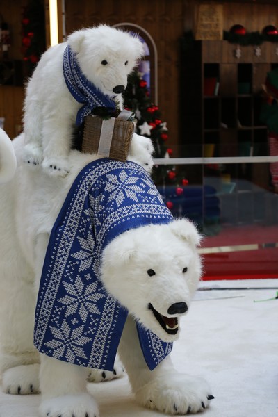 The Wonders of Christmas Shows