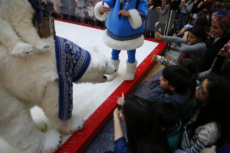 The Wonders of Christmas Shows