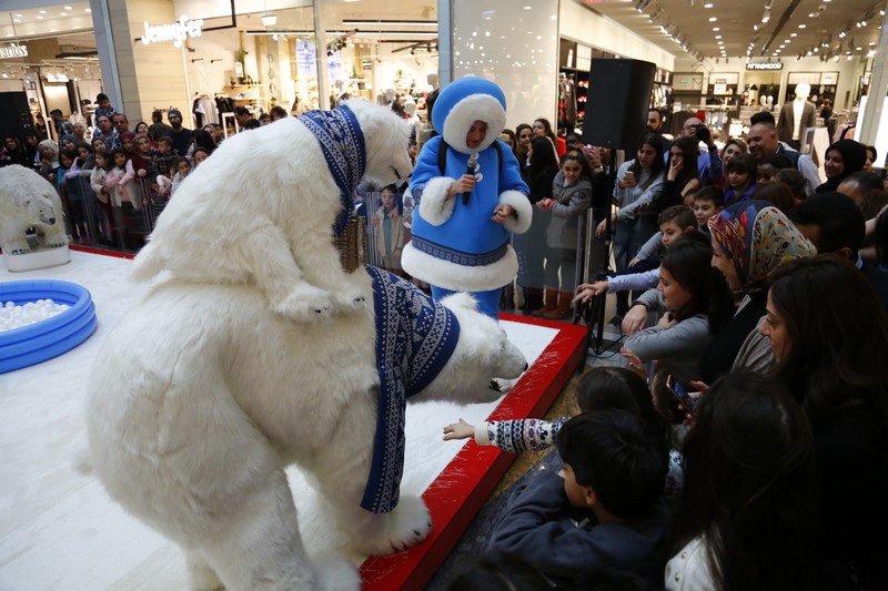 The Wonders of Christmas Shows