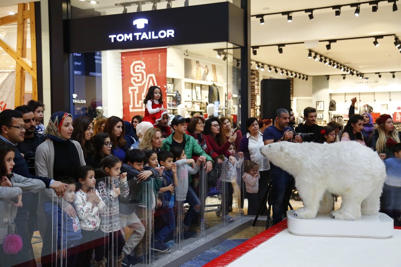 The Wonders of Christmas Shows