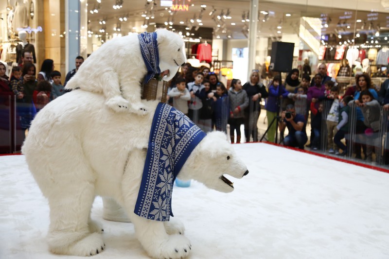 The Wonders of Christmas Shows