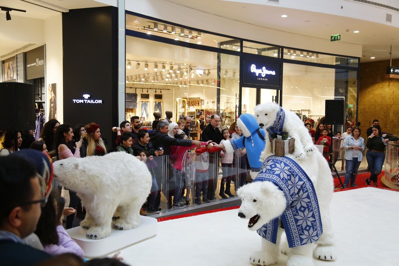 The Wonders of Christmas Shows