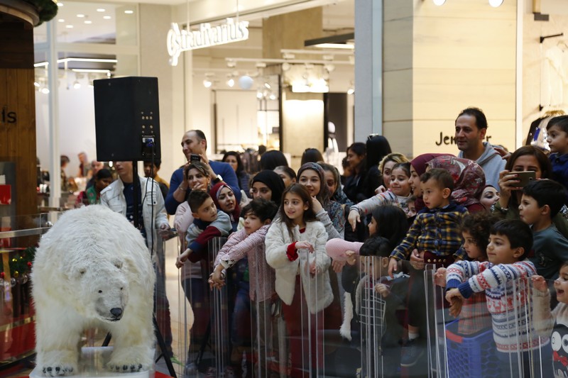 The Wonders of Christmas Shows