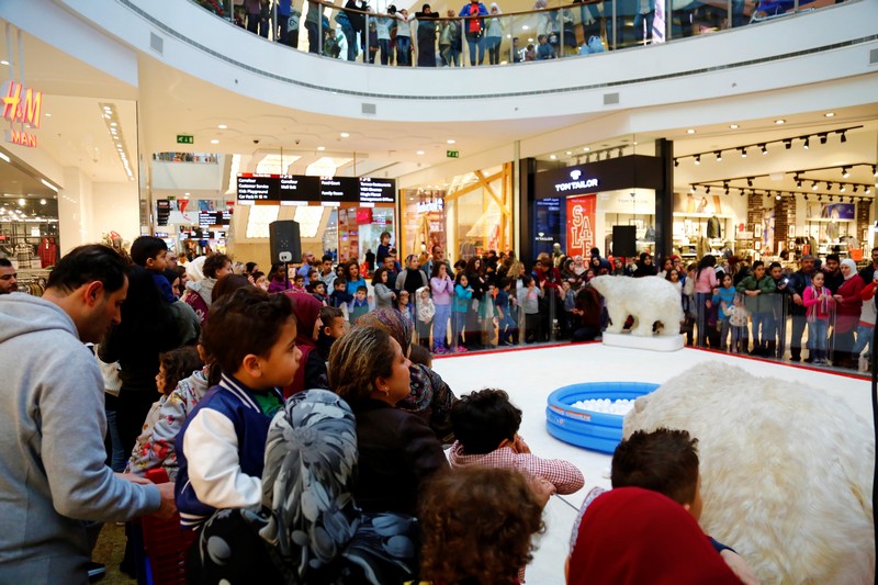 The Wonders of Christmas Shows