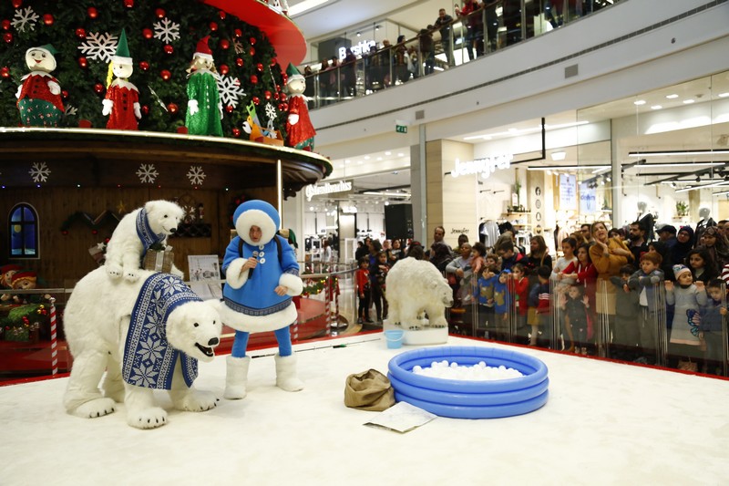 The Wonders of Christmas Shows