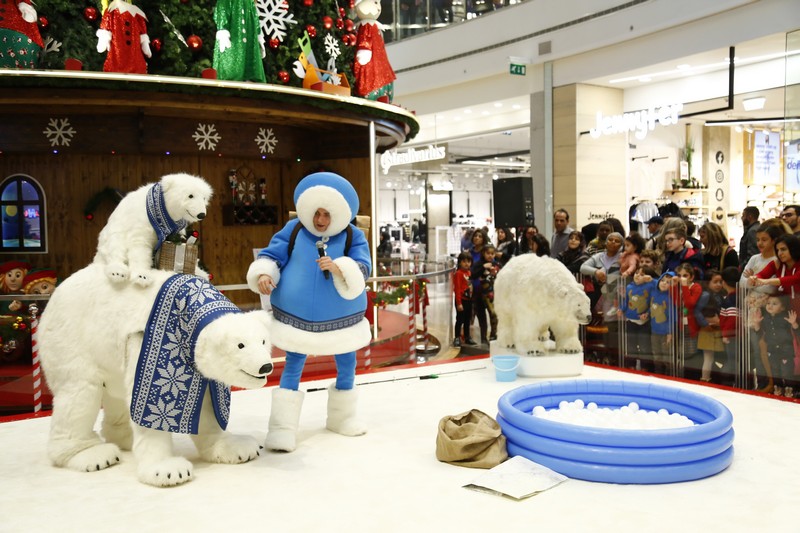 The Wonders of Christmas Shows