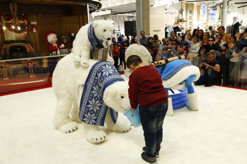 The Wonders of Christmas Shows