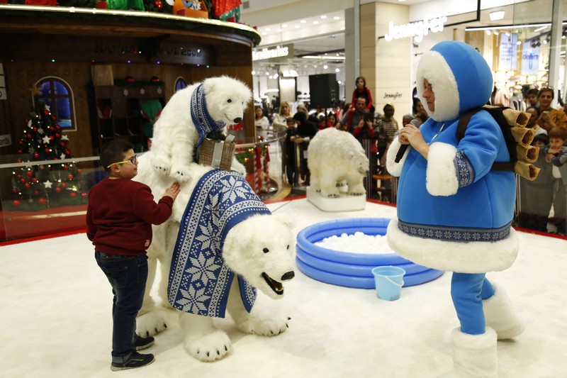 The Wonders of Christmas Shows