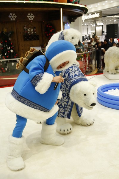 The Wonders of Christmas Shows
