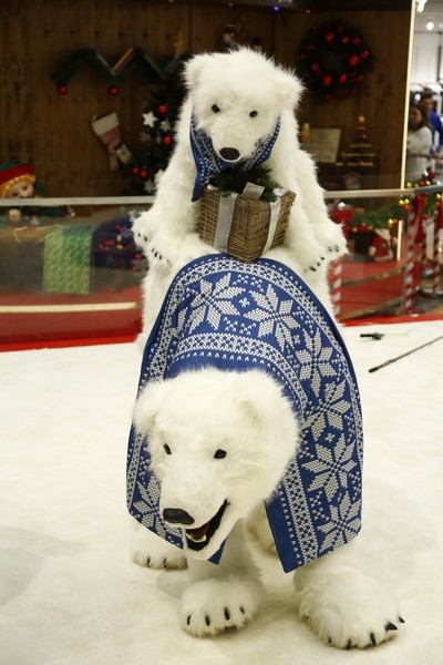 The Wonders of Christmas Shows