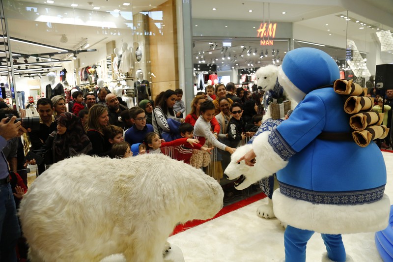 The Wonders of Christmas Shows