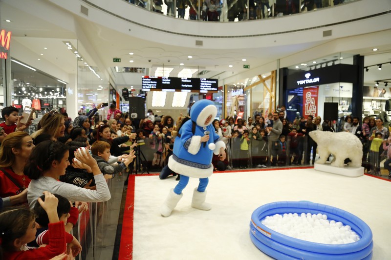 The Wonders of Christmas Shows