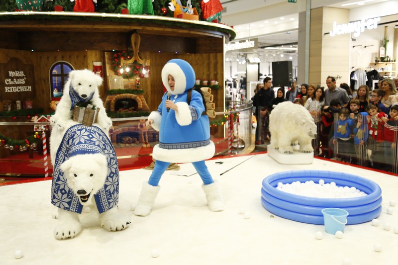 The Wonders of Christmas Shows