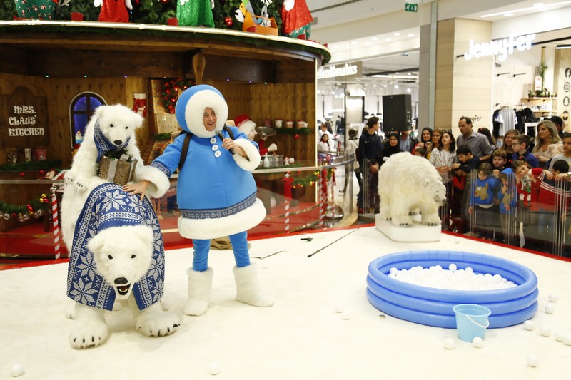 The Wonders of Christmas Shows