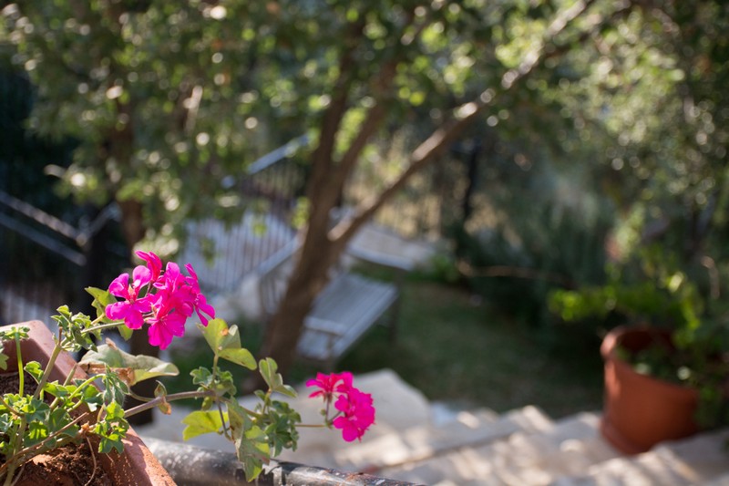 BeitBridi A new guesthouse in Abdelli