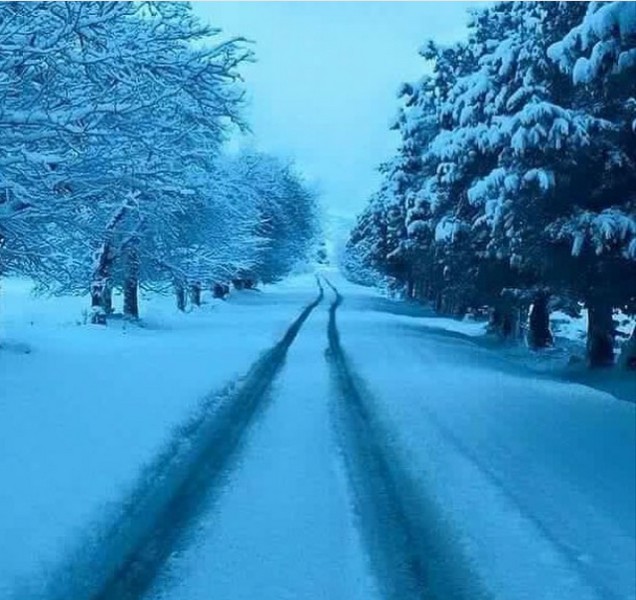 Beqaa
