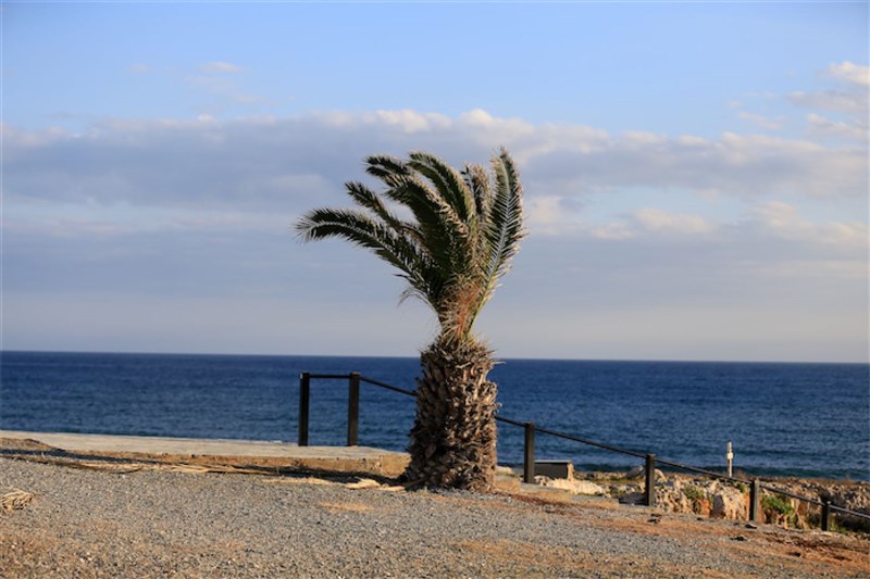 Cyprus FAM Trip Day1