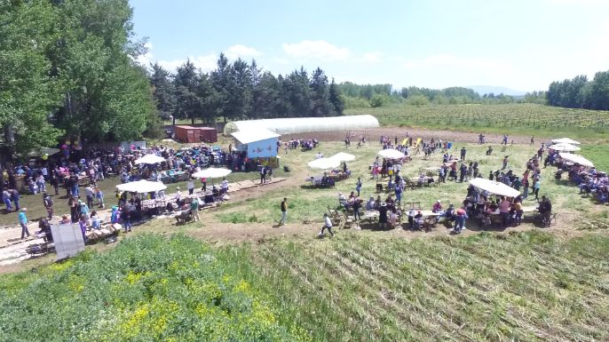 Bassma association launches the Family Festival