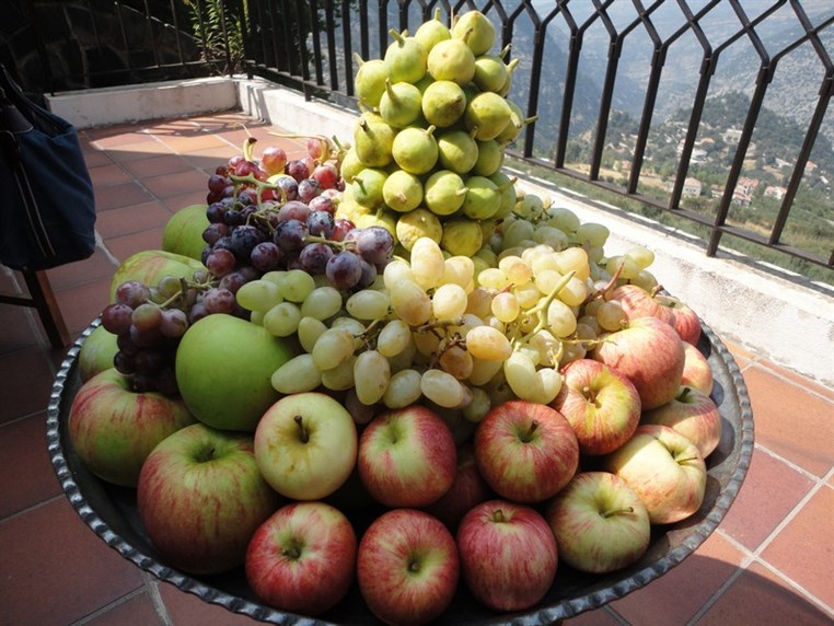 Nizar & Jeanette Younes Lunch