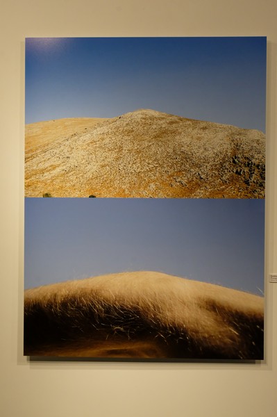 Opening Night of Unearthed exhibition by Ramzi Mallat at the Instituto Cervantes