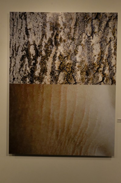 Opening Night of Unearthed exhibition by Ramzi Mallat at the Instituto Cervantes