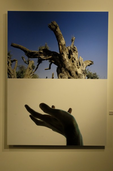 Opening Night of Unearthed exhibition by Ramzi Mallat at the Instituto Cervantes