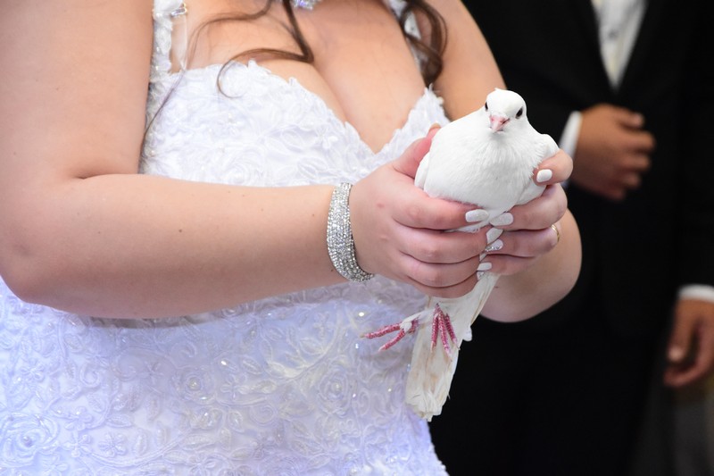 Wedding of Garo and Tsoler