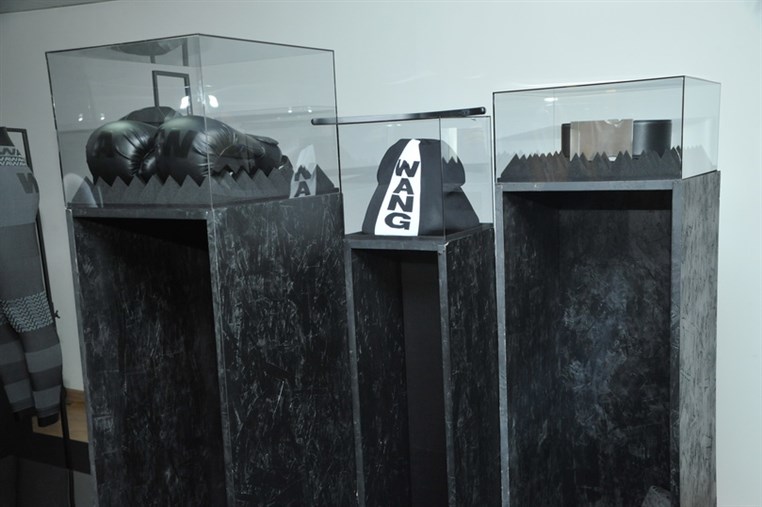  Alexander Wang x H & M Collection