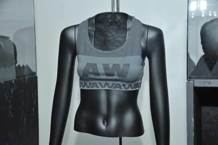  Alexander Wang x H & M Collection