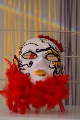 Casa del Puppet Birthday celebration