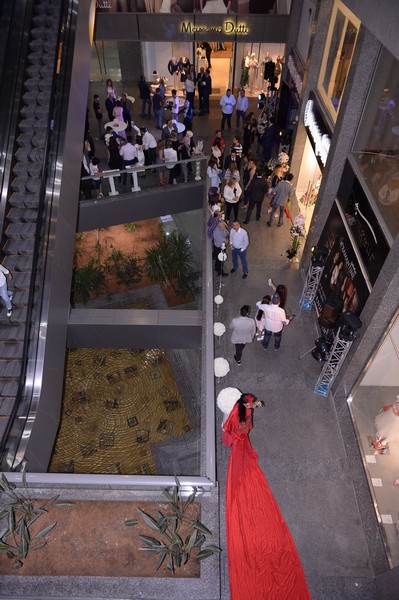 Opening of Diamantine
