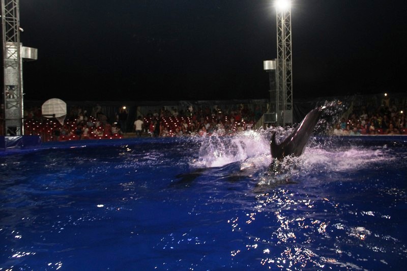 Beirut Dolphinarium