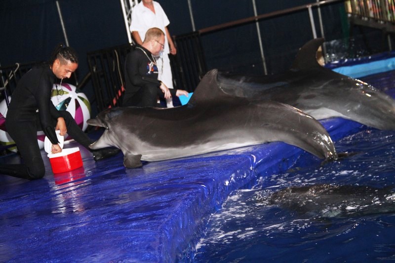 Beirut Dolphinarium