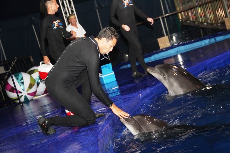 Beirut Dolphinarium