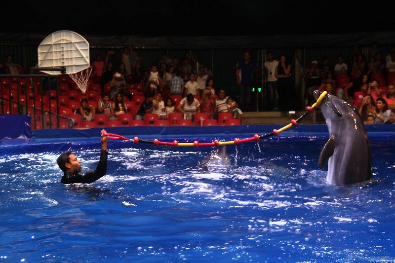 Beirut Dolphinarium