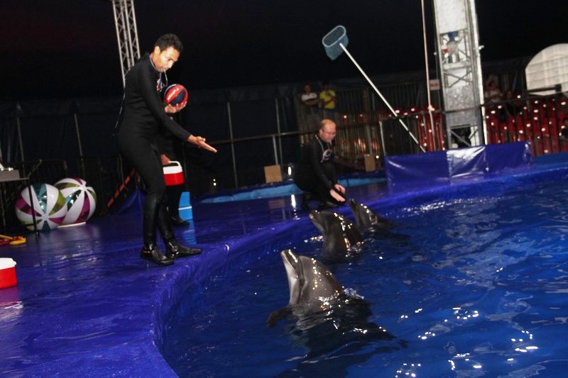 Beirut Dolphinarium
